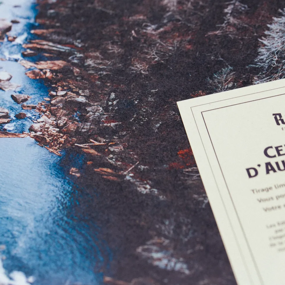 Affiche Down the Canyon encadrée Moebe chêne A2 - Le Renard