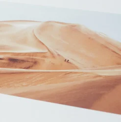 Affiche Dune - Le Renard