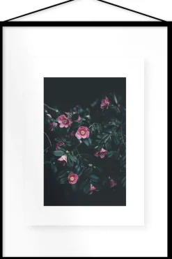 Affiche Flowers encadrée Moebe noir A2 - Le Renard