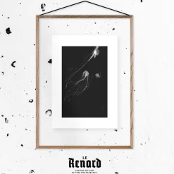 Affiche Medusa II encadrée Moebe noir A2 - Le Renard