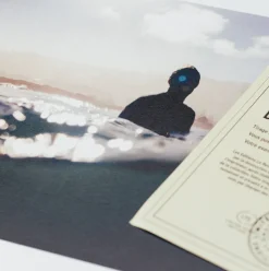 Affiche Surfing Life encadrée Moebe noir A3 - Le Renard