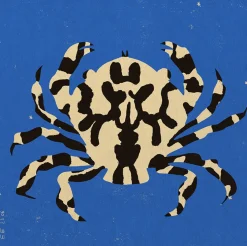 Affiche 50x50cm Calico Crab - The Poster Club