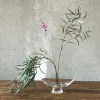 Bol à pied en verre transparent 22cm Silhouette - Nude Glass