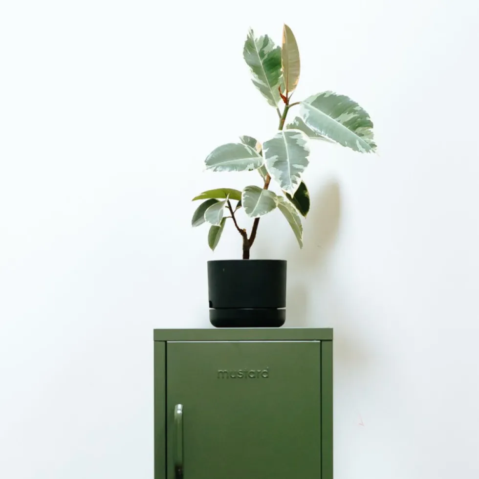 Casier en acier vert olive 35x46x72cm The Shorty - Mustard Made