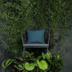 Chaise avec accoudoirs d'extérieur noire avec coussins gris zinc Leo - Vincent Sheppard