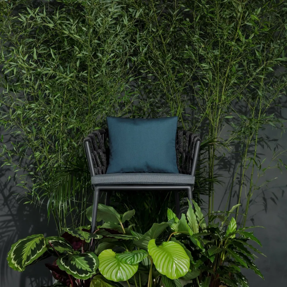 Chaise avec accoudoirs d'extérieur noire avec coussins gris zinc Leo - Vincent Sheppard