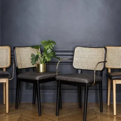2 Chaises grises avec accoudoirs en chêne teinté noir Cannage - RED Edition