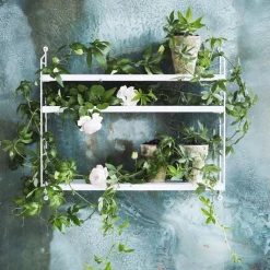 Etagères en bois blanc String Pocket - String furniture
