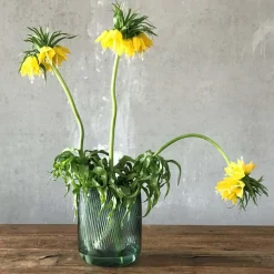 Grand vase transparent Opti - Nude Glass