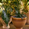 Jardinière en grès Vanille - HKLIVING