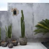 Le Vase Funky - Gris antique - M - Bazar Bizar