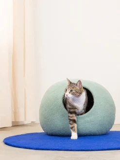 Lit pour chat en laine turquoise 38cm Fine - Myfelt