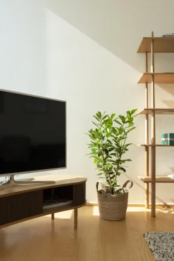 Meuble télévision en chêne foncé beige 40 x 140 cm Audacious - UMAGE