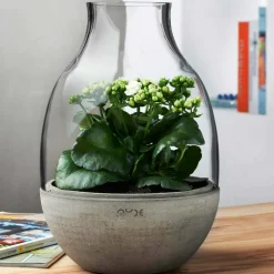 Mini terrarium transparent avec base en béton moulé - Nude Glass