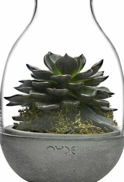 Mini terrarium transparent avec base en béton moulé - Nude Glass