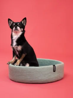 Panier rond pour chien en laine orange et turquoise 40cm Fine - Myfelt