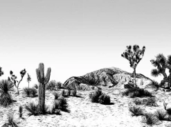 Papier peint noir et blanc Arizona - Edito