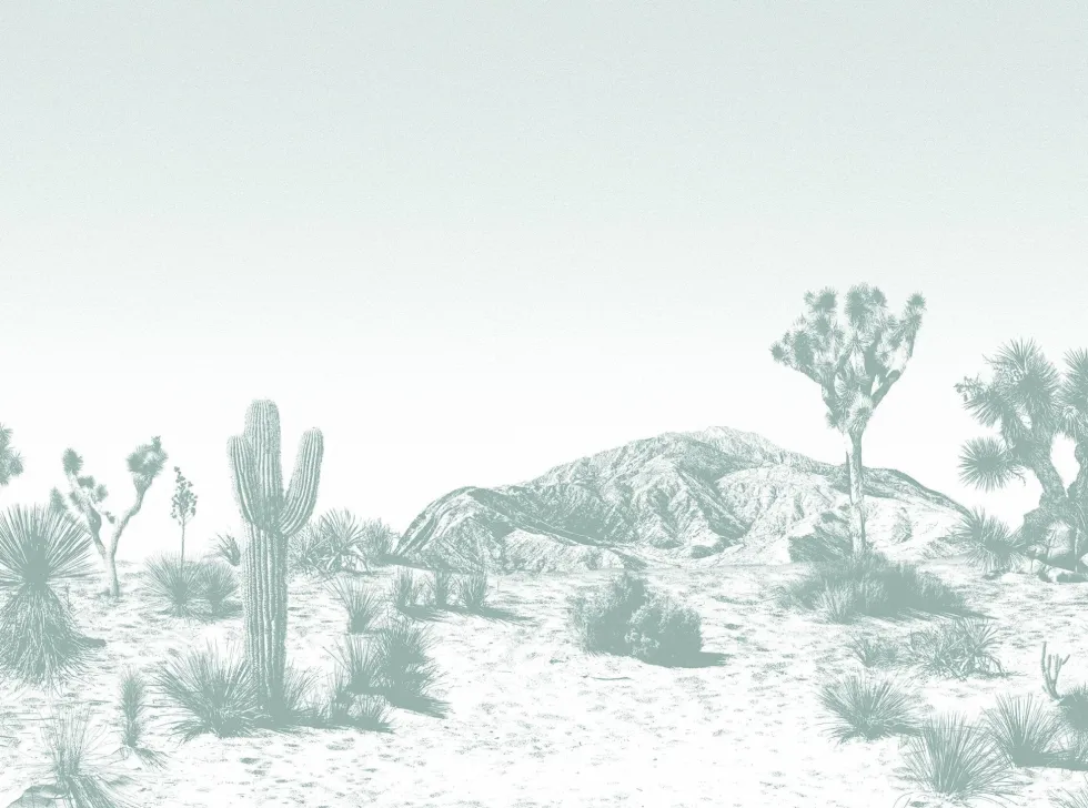 Papier peint vert Arizona - Edito