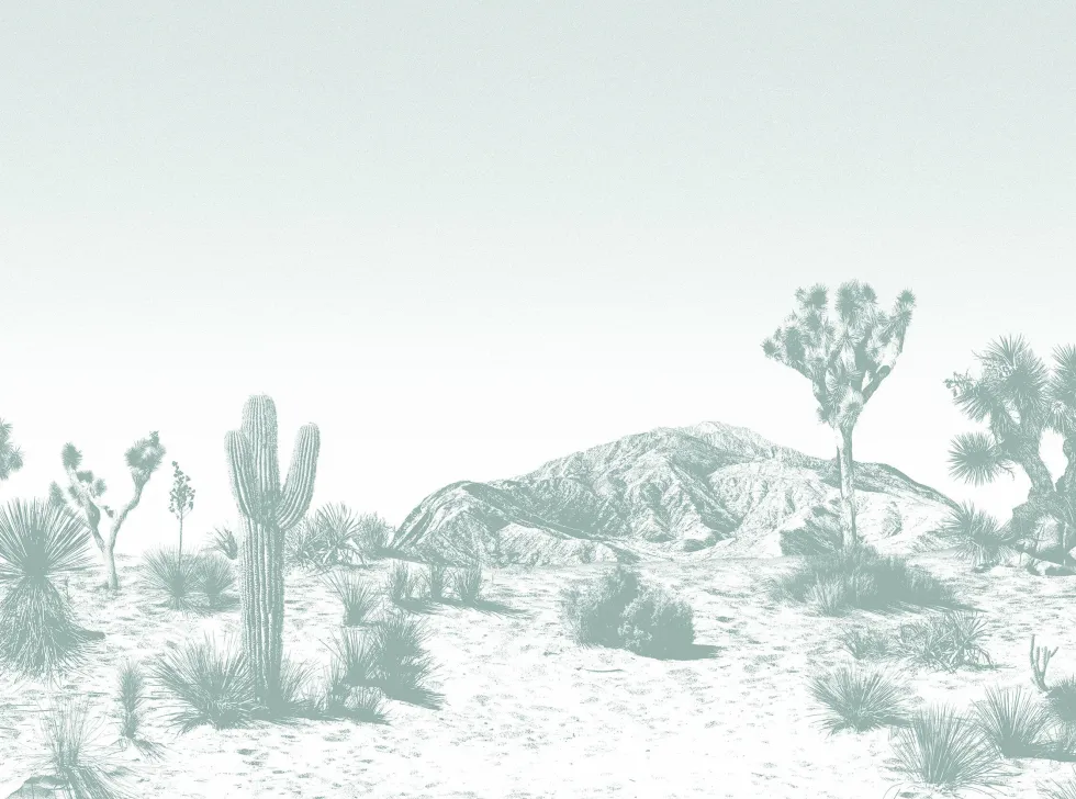 Papier peint vert Arizona - Edito