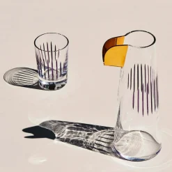 Parrot Set of 2 Water Glasses Clear - (Jeu de 2 verres à eau) Nude Glass