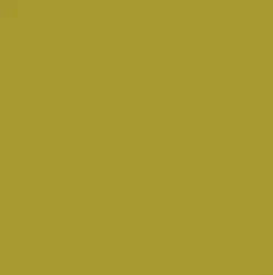 Peinture végétale velouté Amazonie 0,5L - Pure & Paint