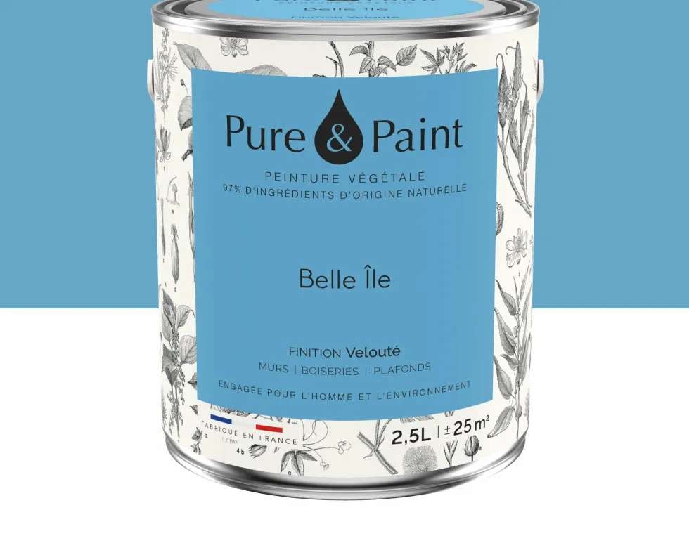 Peinture végétale velouté Belle île 2,5L - Pure & Paint