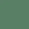 Peinture végétale velouté Forêt 2,5L - Pure & Paint