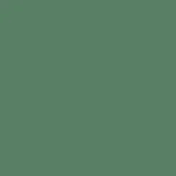 Peinture végétale velouté Forêt 100ML - Pure & Paint