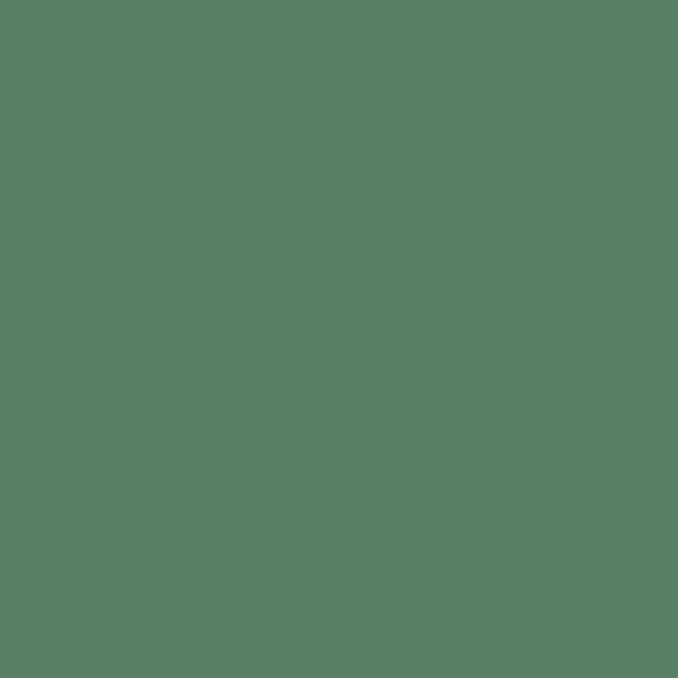 Peinture végétale velouté Forêt 100ML - Pure & Paint