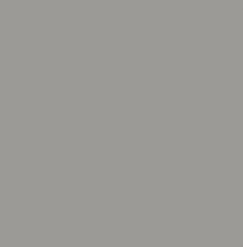 Peinture végétale velouté Gris fumé 0,5L - Pure & Paint