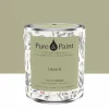 Peinture végétale velouté Lézard 2,5L - Pure & Paint