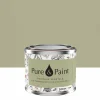 Peinture végétale velouté Lézard 100ML - Pure & Paint
