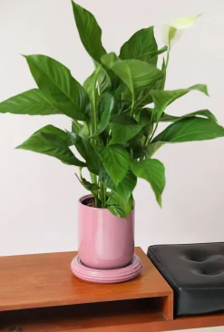 Pot de fleurs en grès blush 21x19,5cm Churros - &Klevering