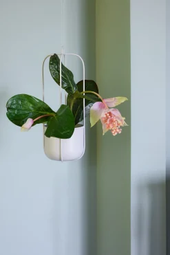 Pot à fleurs en suspension gris (lot de 2) Lotus - Hübsch