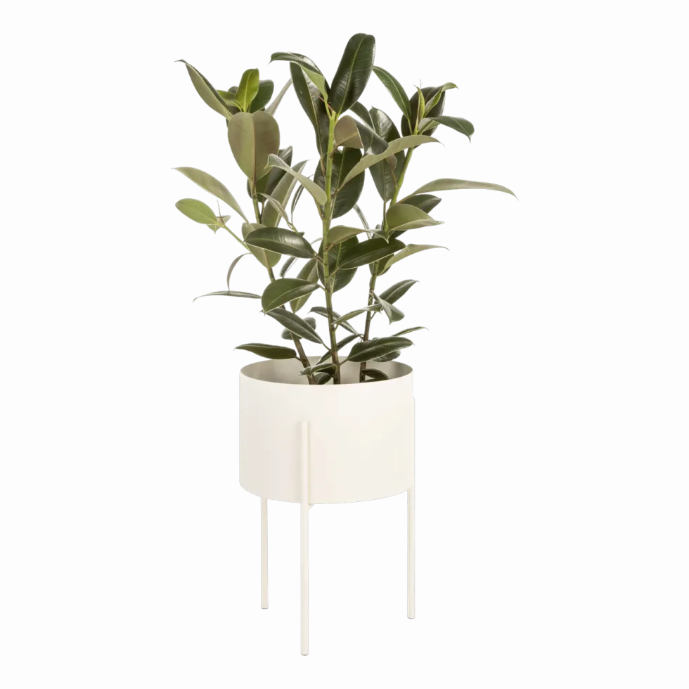 Pot à plantes en acier beige L Maki - noo.ma