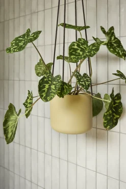 3 Pots ronds suspendus en fer beige Bloom - Hübsch