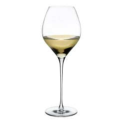Set de 2 grands verres à vin blanc Fantasy - Nude Glass
