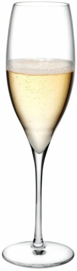 Set de 2 verres à champagne Terroir - Nude Glass