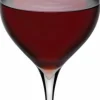 Set de 2 verres à vin rouge 670 cc Terroir - Nude Glass