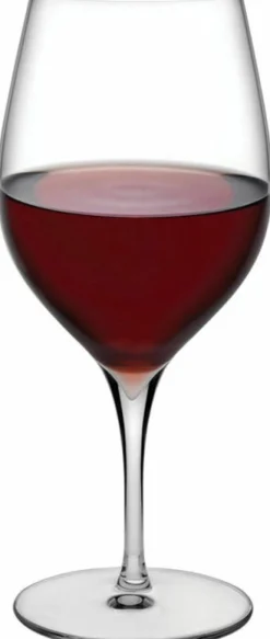 Set de 2 verres à vin rouge 670 cc Terroir - Nude Glass