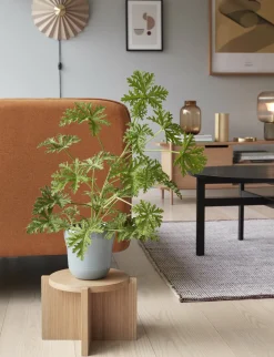 Support de plantes Nomad - Hübsch