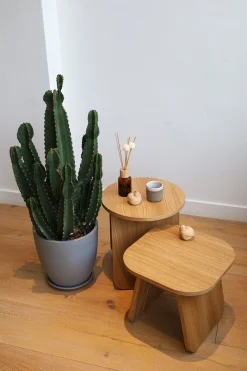Table d'appoint ronde en bois de chêne huilé 40x43cm Momoko - EMKO