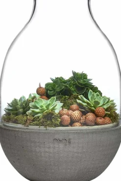 Terrarium Eden transparent avec base en béton moulé - Nude Glass