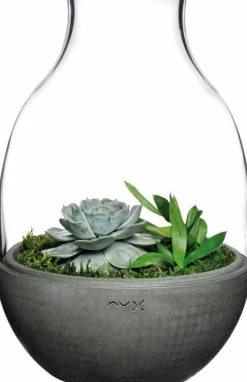Terrarium Eden transparent avec base en béton moulé - Nude Glass