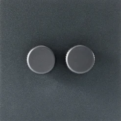 Variateur double en acier inoxydable graphite 8,8cm Dimmers - Tala