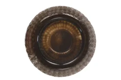 Vase en verre fumé soufflé à la bouche 30x42,5cm - Versmissen