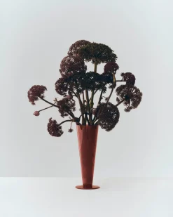 Vase en verre rose et rouge foncé 8,3x23cm Conical - HAY