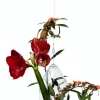 Vase suspendu en verre soufflé Paresseux - Tsé & Tsé