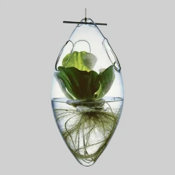 Vase suspendu en verre soufflé Paresseux - Tsé & Tsé